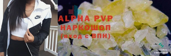 PSILOCYBIN Волосово