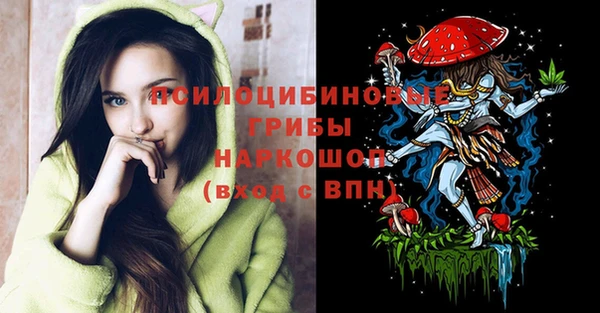 2c-b Верея