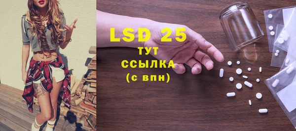 PSILOCYBIN Волосово